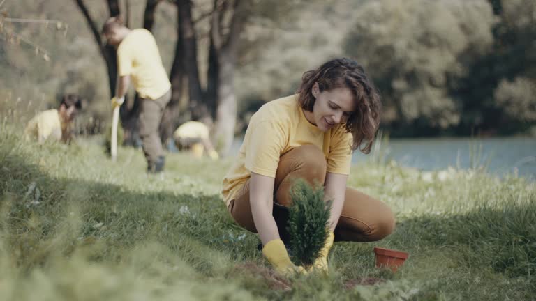 Best Lawn Disease Treatment  in Monmouth Beach, NJ
